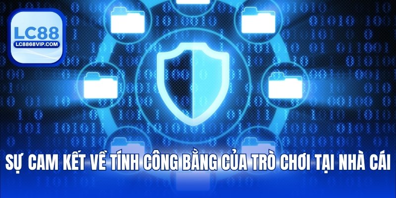 Chính Sách Hoạt Động – Nền Tảng Minh Bạch Cho Sự Uy Tín - LC88